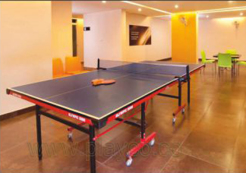 Table Tennis – Indian