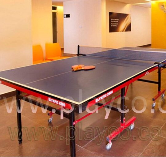 Table tennis table